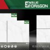Gạch 80x80 Tasa 9116 Men bóng