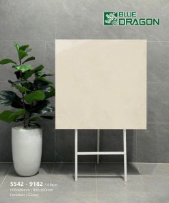 Gạch 80x80 Tasa 9128 Men bóng