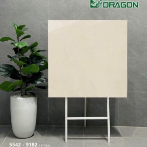 Gạch 80x80 Tasa 9128 Men bóng