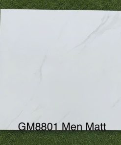 Gạch 80x80 VIGLACERA mã GM8801 Men Matt