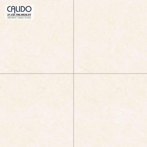 Gạch AMY 120x120 mã Solo 21.CD.106.0026.01