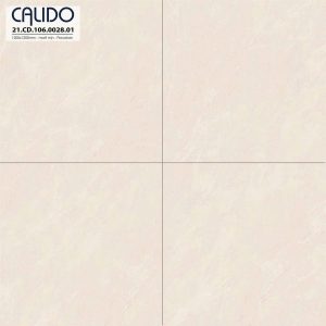 Gạch AMY 120x120 mã Solo 21.CD.106.0028.01