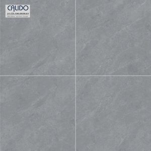 Gạch AMY 120x120 mã Solo 21.CD.106.0030.01