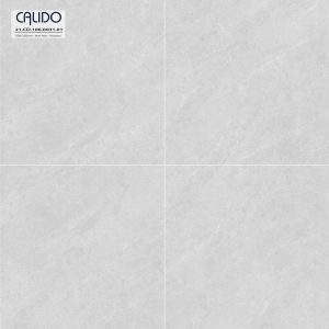 Gạch AMY 120x120 mã Solo 21.CD.106.0031.01