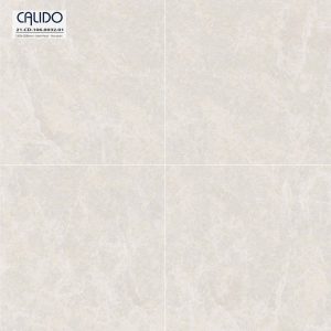 Gạch AMY 120x120 mã Solo 21.CD.106.0032.01