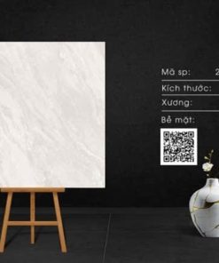 Gạch AMY Porcelain Men Siêu Bóng 23.BE.06.4.0028.01