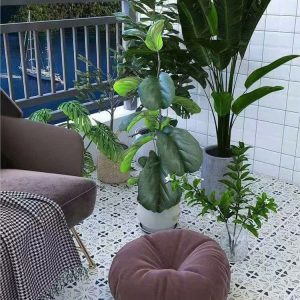 Gạch Bông 30x30 mã F30499