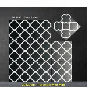 Gạch Bông Men 20x20 Trung Quốc DS2905