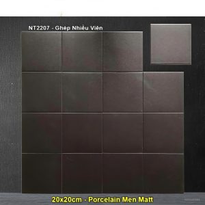 Gạch Bông Men 20x20 Trung Quốc NT2207
