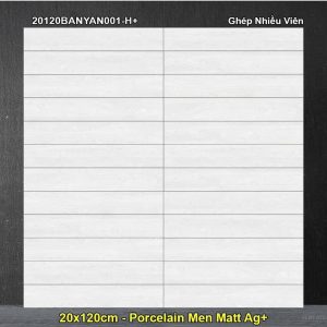Gạch Giả Gỗ 20x120 Đồng Tâm 20120BANYAN001-H+