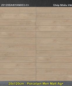 Gạch Giả Gỗ 20x120 Đồng Tâm 20120BANYAN003-H+