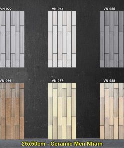 Gạch Ốp Trang Trí 25x50 Việt Nhật VN-9