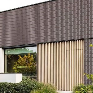 Gạch Ốp Trang Trí 25x50 Việt Nhật VT-49