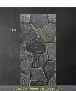 Gạch Ốp Trang Trí 30x60 Ấn Độ 1443
