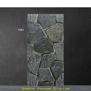 Gạch Ốp Trang Trí 30x60 Ấn Độ 1443