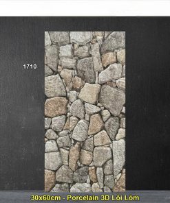 Gạch Ốp Trang Trí 30x60 Ấn Độ 1710