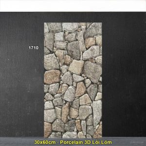 Gạch Ốp Trang Trí 30x60 Ấn Độ 1710
