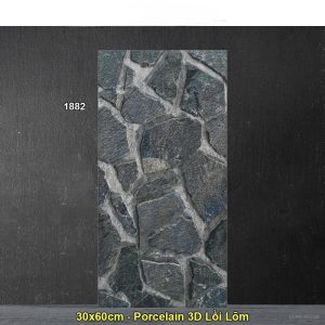 Gạch Ốp Trang Trí 30x60 Ấn Độ 1882