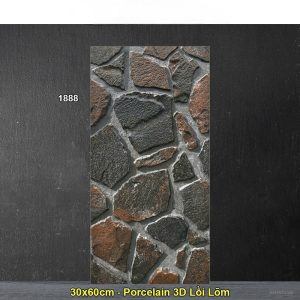 Gạch Ốp Trang Trí 30x60 Ấn Độ 1888