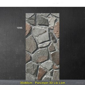 Gạch Ốp Trang Trí 30x60 Ấn Độ 1895