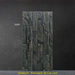 Gạch Ốp Trang Trí 30x60 Ấn Độ 2020