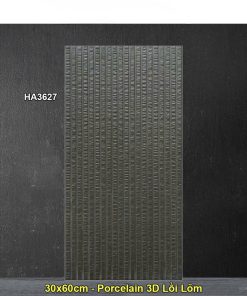 Gạch Ốp Trang Trí 30x60 Trung Quốc HA3627