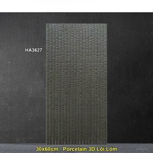 Gạch Ốp Trang Trí 30x60 Trung Quốc HA3627