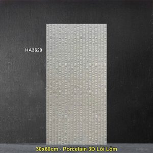 Gạch Ốp Trang Trí 30x60 Trung Quốc HA3629