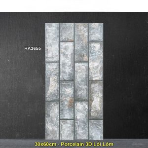Gạch Ốp Trang Trí 30x60 Trung Quốc HA3655