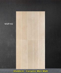 Gạch Ốp Trang Trí 30x60 Trung Quốc NSR102