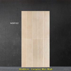 Gạch Ốp Trang Trí 30x60 Trung Quốc NSR102