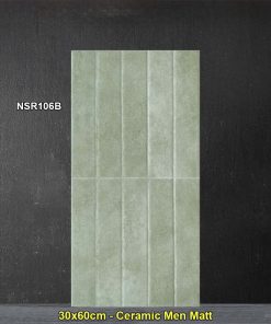 Gạch Ốp Trang Trí 30x60 Trung Quốc NSR106B