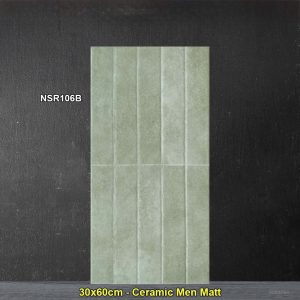 Gạch Ốp Trang Trí 30x60 Trung Quốc NSR106B