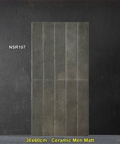 Gạch Ốp Trang Trí 30x60 Trung Quốc NSR107