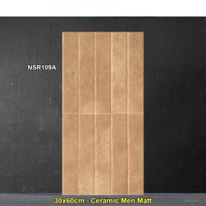 Gạch Ốp Trang Trí 30x60 Trung Quốc NSR109A