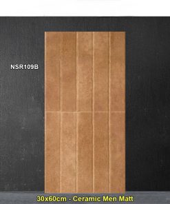 Gạch Ốp Trang Trí 30x60 Trung Quốc NSR109B
