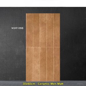 Gạch Ốp Trang Trí 30x60 Trung Quốc NSR109B