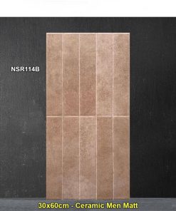 Gạch Ốp Trang Trí 30x60 Trung Quốc NSR114B