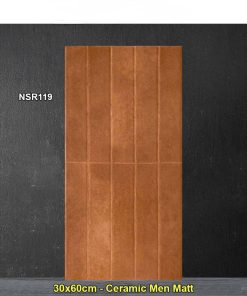 Gạch Ốp Trang Trí 30x60 Trung Quốc NSR119
