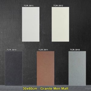 Gạch Ốp Trang Trí 30x60 Việt Nhật TCR