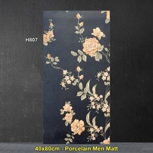 Gạch Ốp Trang Trí 40x80 Trung Quốc H807