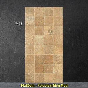Gạch Ốp Trang Trí 40x80 Trung Quốc M824