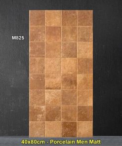 Gạch Ốp Trang Trí 40x80 Trung Quốc M825