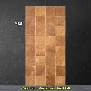 Gạch Ốp Trang Trí 40x80 Trung Quốc M825