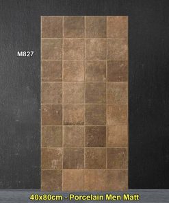 Gạch Ốp Trang Trí 40x80 Trung Quốc M827