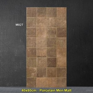 Gạch Ốp Trang Trí 40x80 Trung Quốc M827