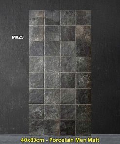 Gạch Ốp Trang Trí 40x80 Trung Quốc M829
