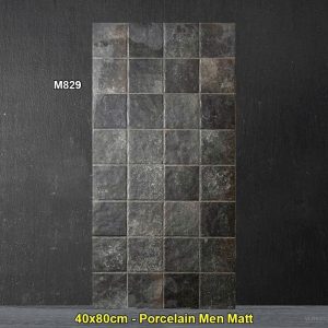 Gạch Ốp Trang Trí 40x80 Trung Quốc M829