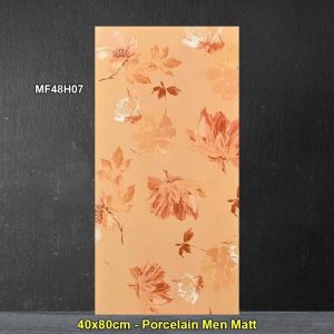 Gạch Ốp Trang Trí 40x80 Trung Quốc MF48H07