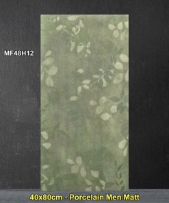 Gạch Ốp Trang Trí 40x80 Trung Quốc MF48H12